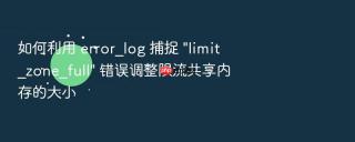 如何利用 error_log 捕捉 \