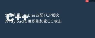 怎么利用Iptables匹配TCP报文的Payload长度识别加密CC攻击