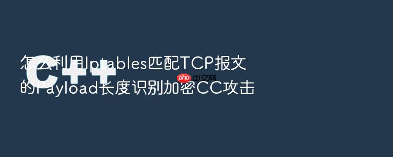 怎么利用iptables匹配tcp报文的payload长度识别加密cc攻击