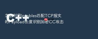 怎么利用iptables匹配tcp报文的payload长度识别加密cc攻击