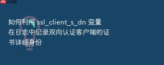 如何利用 ssl_client_s_dn 变量在日志中记录双向认证客户端的证书详细身份