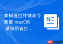 如何通过终端命令获取 macOS 系统所有挂载卷的实时读写负载热力图