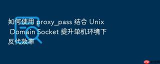如何使用 proxy_pass 结合 Unix Domain Socket 提升单机环境下反代效率
