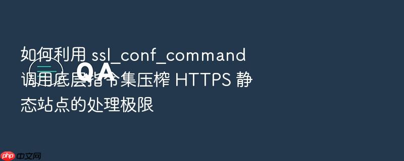 如何利用 ssl_conf_command 调用底层指令集压榨 https 静态站点的处理极限
