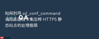 如何利用 ssl_conf_command 调用底层指令集压榨 https 静态站点的处理极限