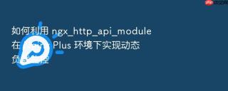 如何利用 ngx_http_api_module 在 nginx plus 环境下实现动态负载监控