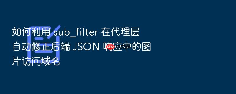 如何利用 sub_filter 在代理层自动修正后端 json 响应中的图片访问域名