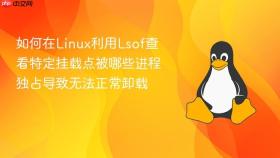 如何在linux利用lsof查看特定挂载点被哪些进程独占导致无法正常卸载