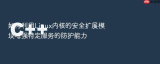 如何利用linux内核的安全扩展模块增强特定服务的防护能力