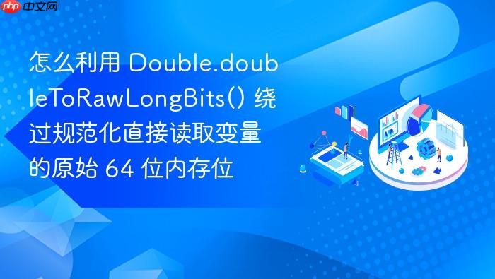 怎么利用 double.doubletorawlongbits() 绕过规范化直接读取变量的原始 64 位内存位