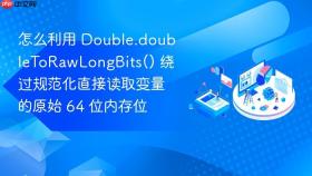 怎么利用 double.doubletorawlongbits() 绕过规范化直接读取变量的原始 64 位内存位
