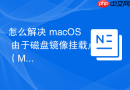 怎么解决 macOS 由于磁盘镜像挂载点（Mount Point）冲突导致的报错