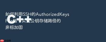 如何利用SSH的AuthorizedKeysFile指令实现公钥存储路径的非标加固