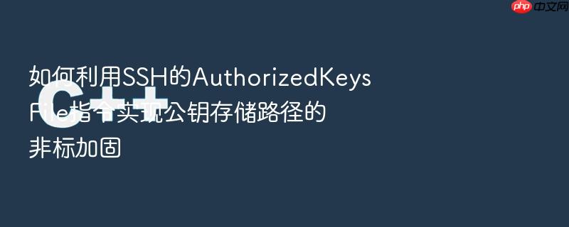 如何利用ssh的authorizedkeysfile指令实现公钥存储路径的非标加固