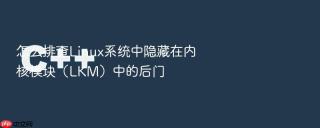怎么排查Linux系统中隐藏在内核模块（LKM）中的后门