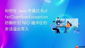 如何在 java 中通过 bufferoverflowexception 防御针对 nio 缓冲区的非法溢出写入