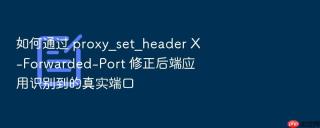 如何通过 proxy_set_header x-forwarded-port 修正后端应用识别到的真实端口