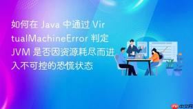 如何在 java 中通过 virtualmachineerror 判定 jvm 是否因资源耗尽而进入不可控的恐慌状态