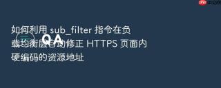 如何利用 sub_filter 指令在负载均衡层自动修正 https 页面内硬编码的资源地址