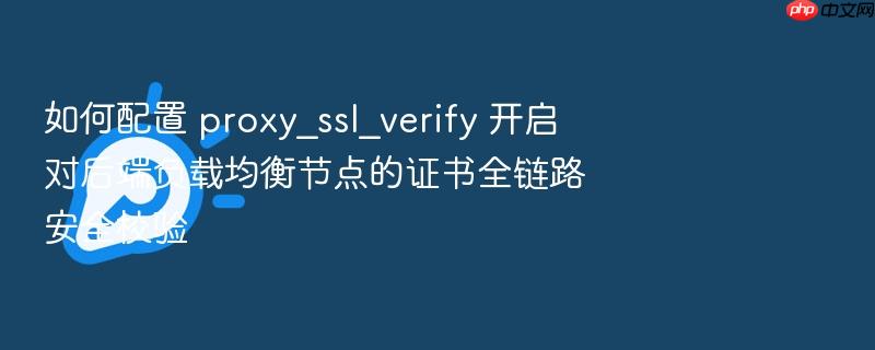 如何配置 proxy_ssl_verify 开启对后端负载均衡节点的证书全链路安全校验