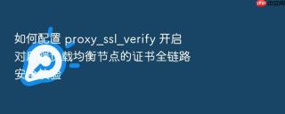 如何配置 proxy_ssl_verify 开启对后端负载均衡节点的证书全链路安全校验