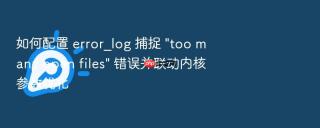 如何配置 error_log 捕捉 \
