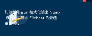 如何利用 json 格式化输出 nginx 日志以实现与 filebeat 的无缝采集对接