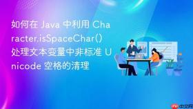 如何在 java 中利用 character.isspacechar() 处理文本变量中非标准 unicode 空格的清理