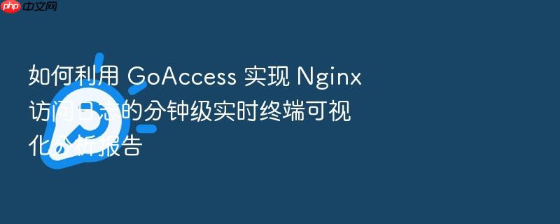 如何利用 goaccess 实现 nginx 访问日志的分钟级实时终端可视化分析报告