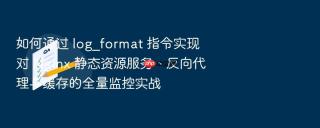 如何通过 log_format 指令实现对 nginx 静态资源服务、反向代理与缓存的全量监控实战