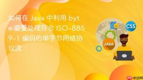 如何在 java 中利用 byte 变量处理符合 iso-8859-1 编码的单字节网络协议流