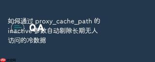如何通过 proxy_cache_path 的 inactive 参数自动剔除长期无人访问的冷数据