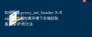 如何配置 proxy_set_header x-real-ip 负载均衡环境下后端获取真实源 ip 的方法