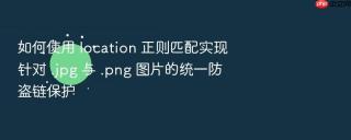 如何使用 location 正则匹配实现针对 .jpg 与 .png 图片的统一防盗链保护