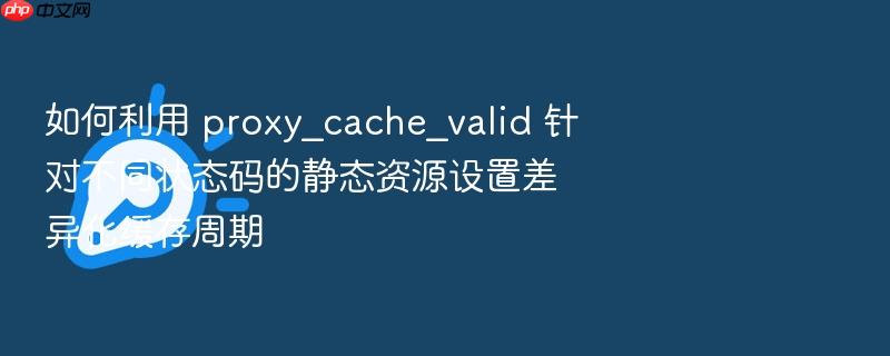 如何利用 proxy_cache_valid 针对不同状态码的静态资源设置差异化缓存周期