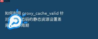 如何利用 proxy_cache_valid 针对不同状态码的静态资源设置差异化缓存周期