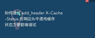 如何通过 add_header x-cache-status 在响应头中透传缓存状态方便前端调试