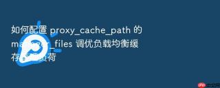 如何配置 proxy_cache_path 的 manager_files 调优负载均衡缓存管理负荷