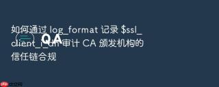 如何通过 log_format 记录 $ssl_client_i_dn 审计 ca 颁发机构的信任链合规