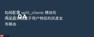 如何配置 split_clients 模块在网关层实现基于用户特征的灰度发布路由
