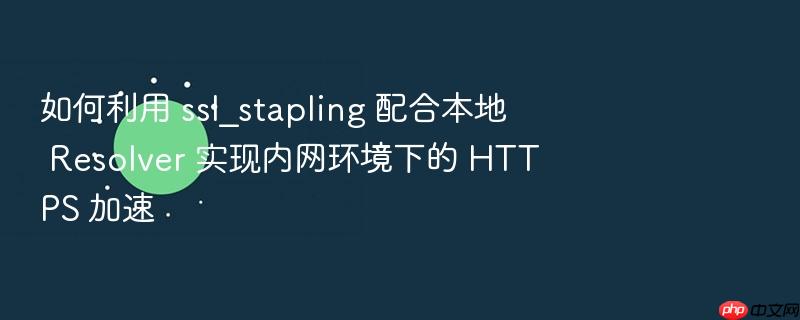 如何利用 ssl_stapling 配合本地 resolver 实现内网环境下的 https 加速