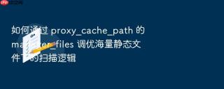 如何通过 proxy_cache_path 的 manager_files 调优海量静态文件下的扫描逻辑