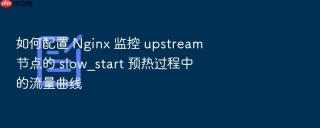 如何配置 nginx 监控 upstream 节点的 slow_start 预热过程中的流量曲线