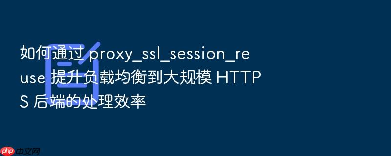 如何通过 proxy_ssl_session_reuse 提升负载均衡到大规模 https 后端的处理效率