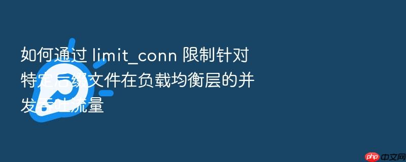 如何通过 limit_conn 限制针对特定后缀文件在负载均衡层的并发吞吐流量