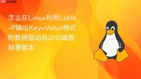 怎么在linux利用lsblk-p输出key=value格式的数据驱动自动化磁盘部署脚本