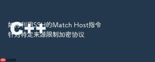 如何利用ssh的match host指令针对特定来源限制加密协议