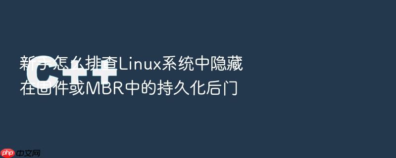 新手怎么排查linux系统中隐藏在固件或mbr中的持久化后门