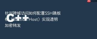 针对跨域访问如何配置SSH跳板机（Bastion Host）实现透明加密转发