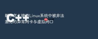 新手怎么排查Linux系统中被非法激活的异常网卡与虚拟网口